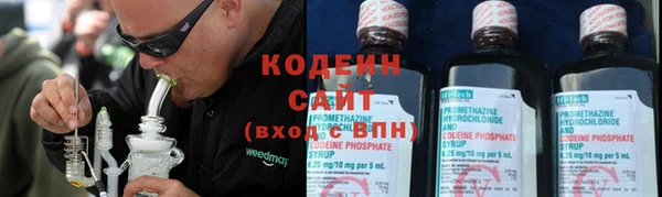 прущие грибы Абдулино