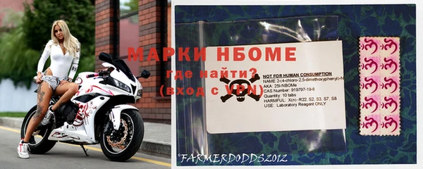 прущие грибы Абдулино