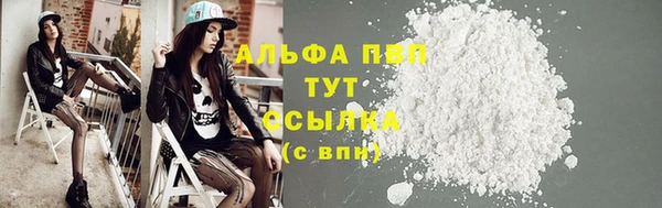 крисы Абаза