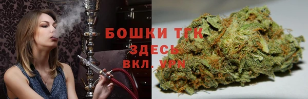 крисы Абаза