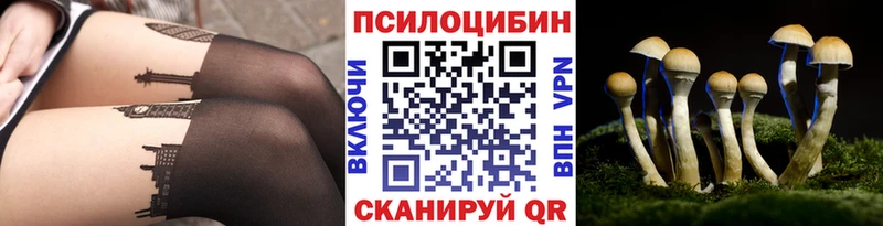 KRAKEN ТОР  Новопавловск  Псилоцибиновые грибы Cubensis  магазин продажи наркотиков 